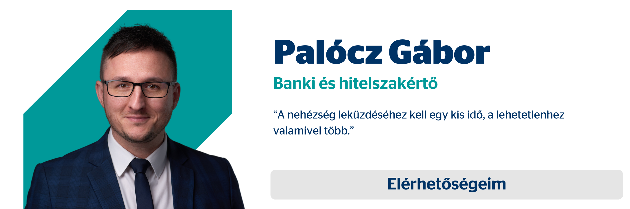 Palócz Gábor