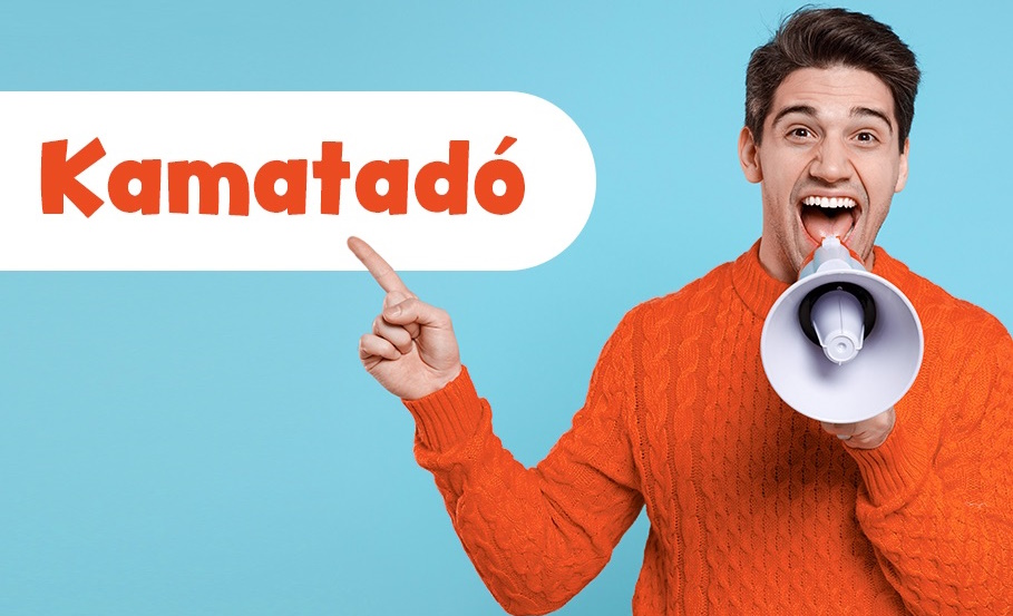 kamatadó